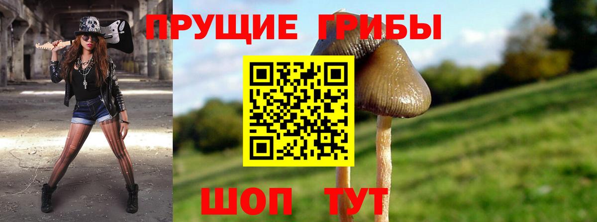 купить наркотик  Галлюциногенные грибы ЛСД  Тула  Вход с VPN  Галлюциногенные грибы GOLDEN TEACHER 